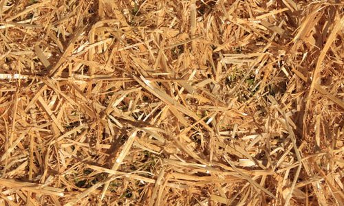 Seemingly Crumpled Straw Texture