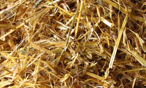 So Shattered Straw Texture