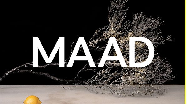 网页设计欣赏：MAAD