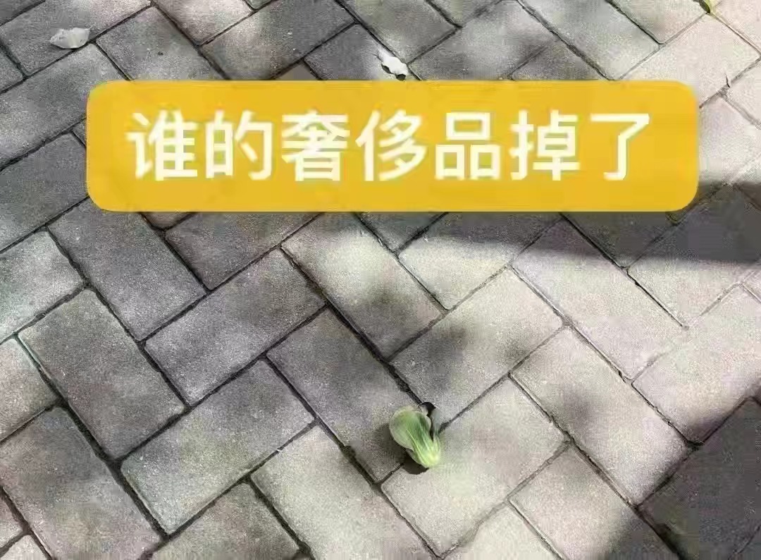 上海大润发文案被“笑”上热搜,真神级洞察! 上海大润发文案被“笑”上热搜,真神级洞察!