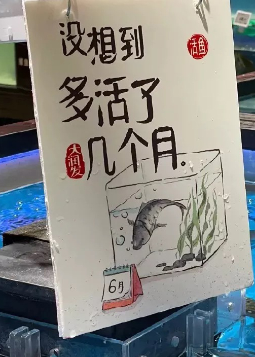 上海大润发文案被“笑”上热搜,真神级洞察! 上海大润发文案被“笑”上热搜,真神级洞察!