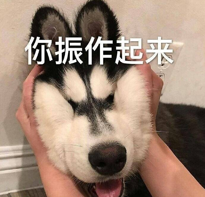 我用一张照片出6套LOGO方案！