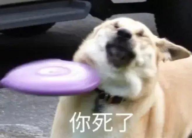 我用一张照片出6套LOGO方案！