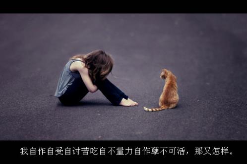 2023励志说说